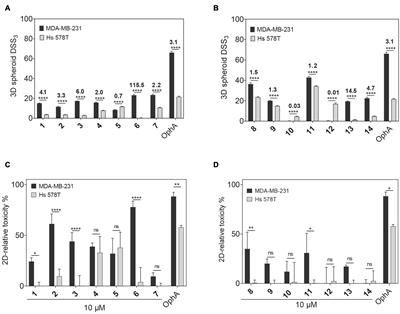 A Covalent Calmodulin Inhibitor as a Tool to Study Cellular Mechanisms of K-Ras-Driven Stemness